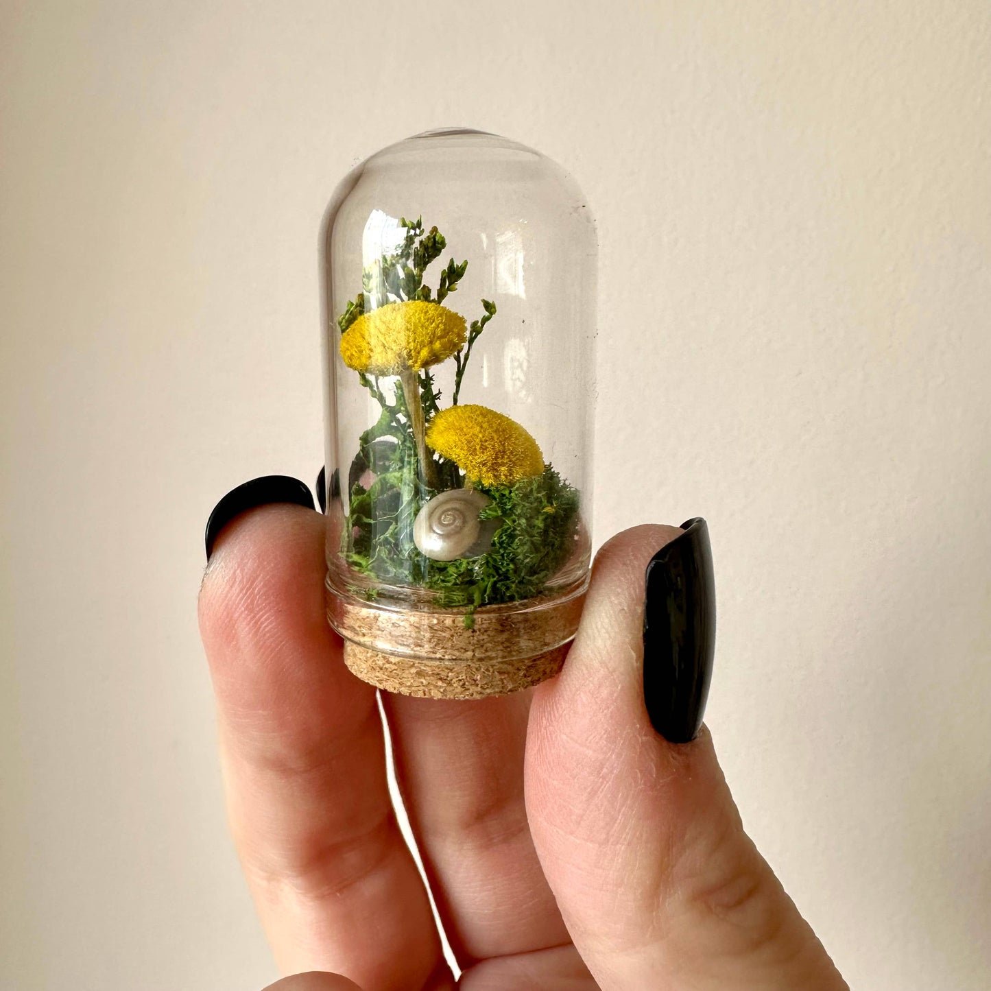 Yellow Mushroom Fields Mini Glass Terrarium w. Dried Florals: 2.75"