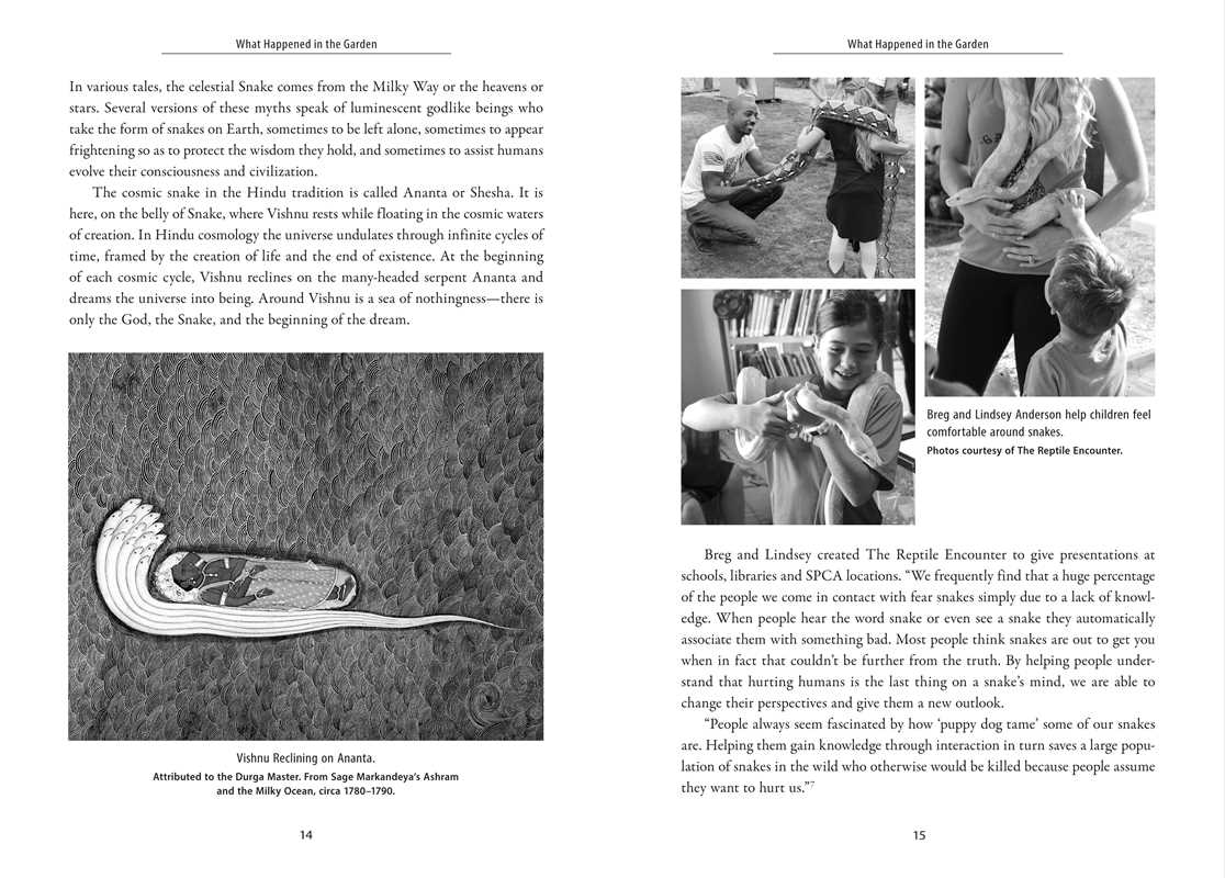 Awakening the Ancient Power of Snake by Dawn Baumann Brunke