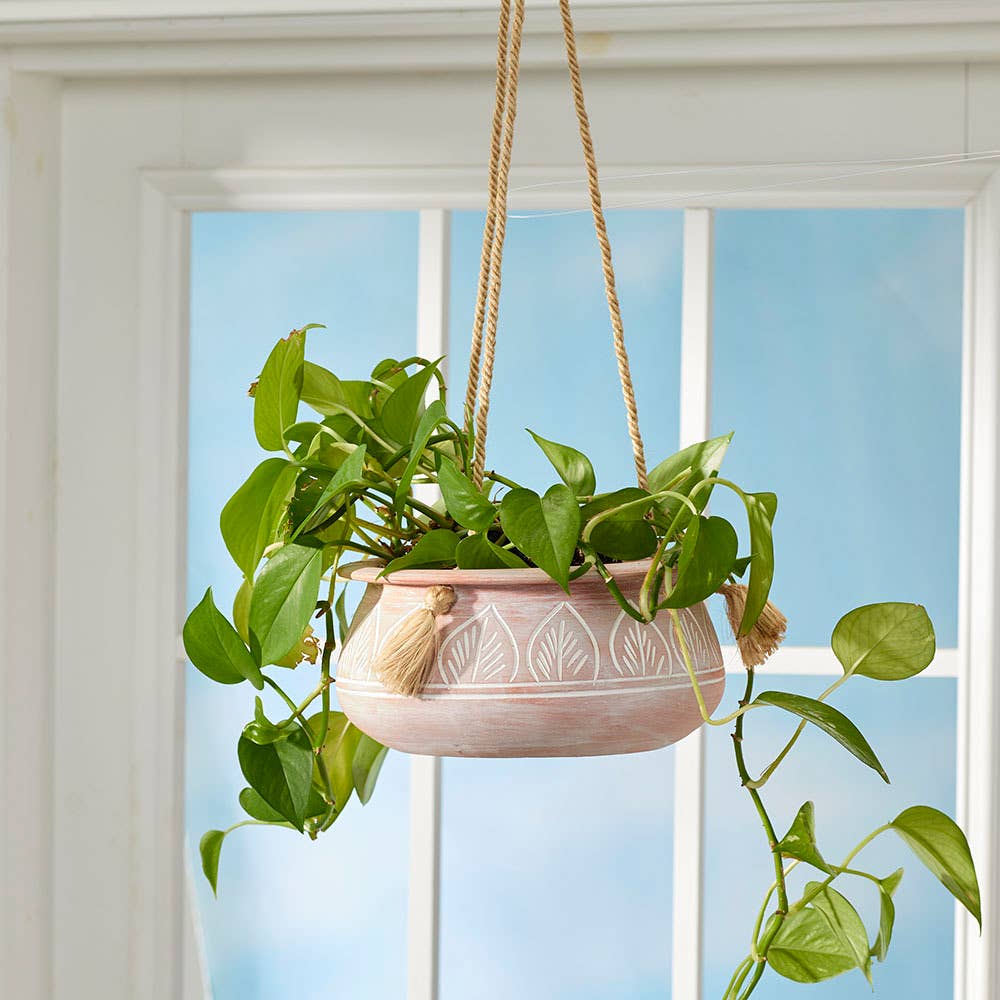Papari Hanging Planter