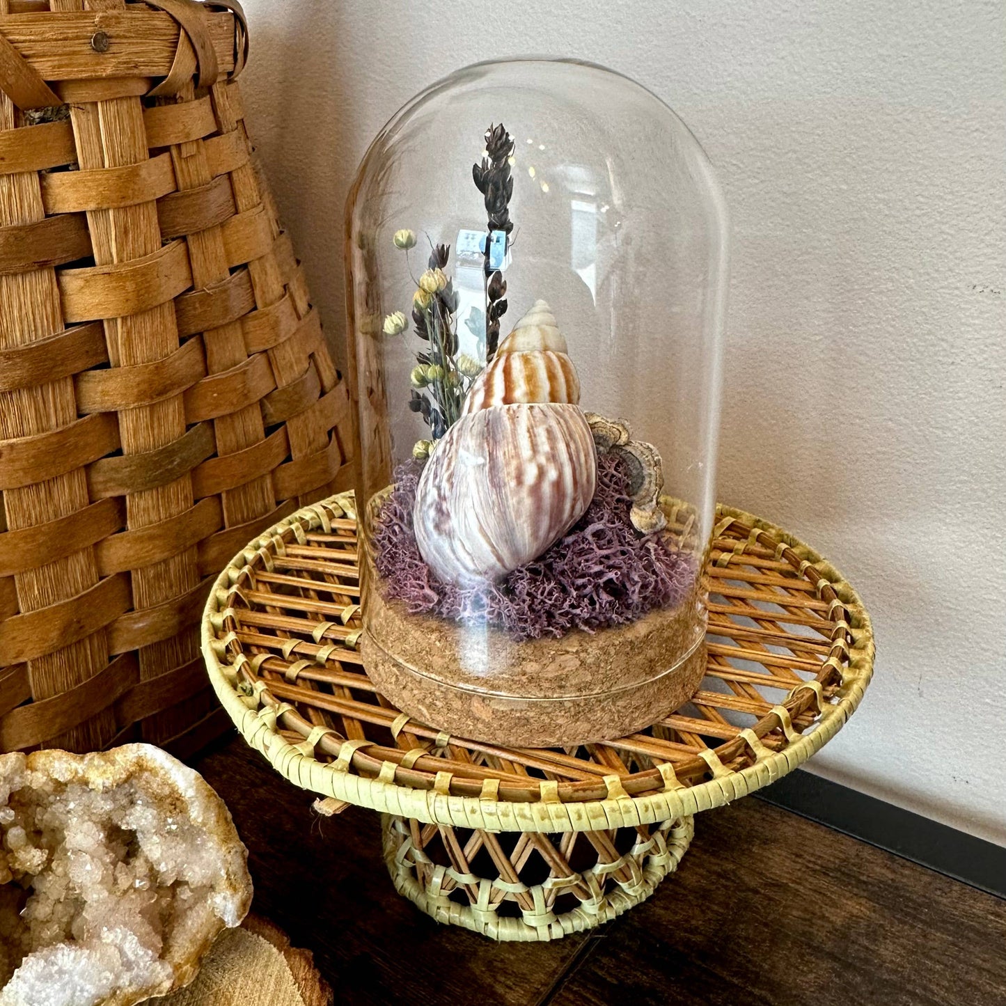 Large Purple Beach Glass Terrarium w. Shells & Dried Florals: Tall