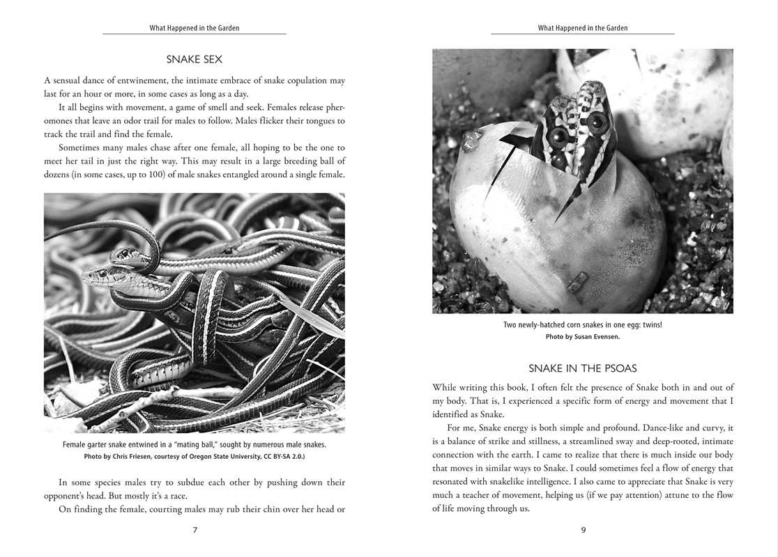 Awakening the Ancient Power of Snake by Dawn Baumann Brunke