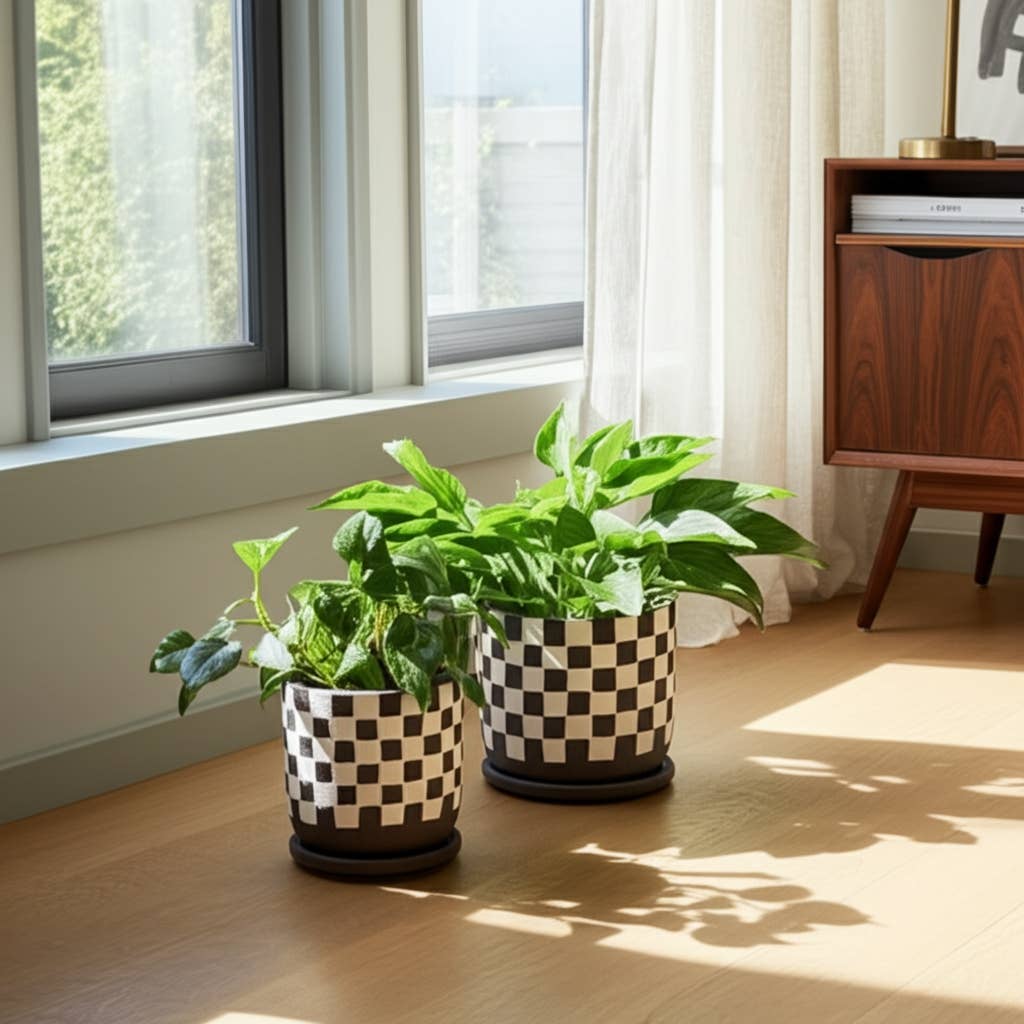 Ceramic Checkerboard Saucer Planter- Large