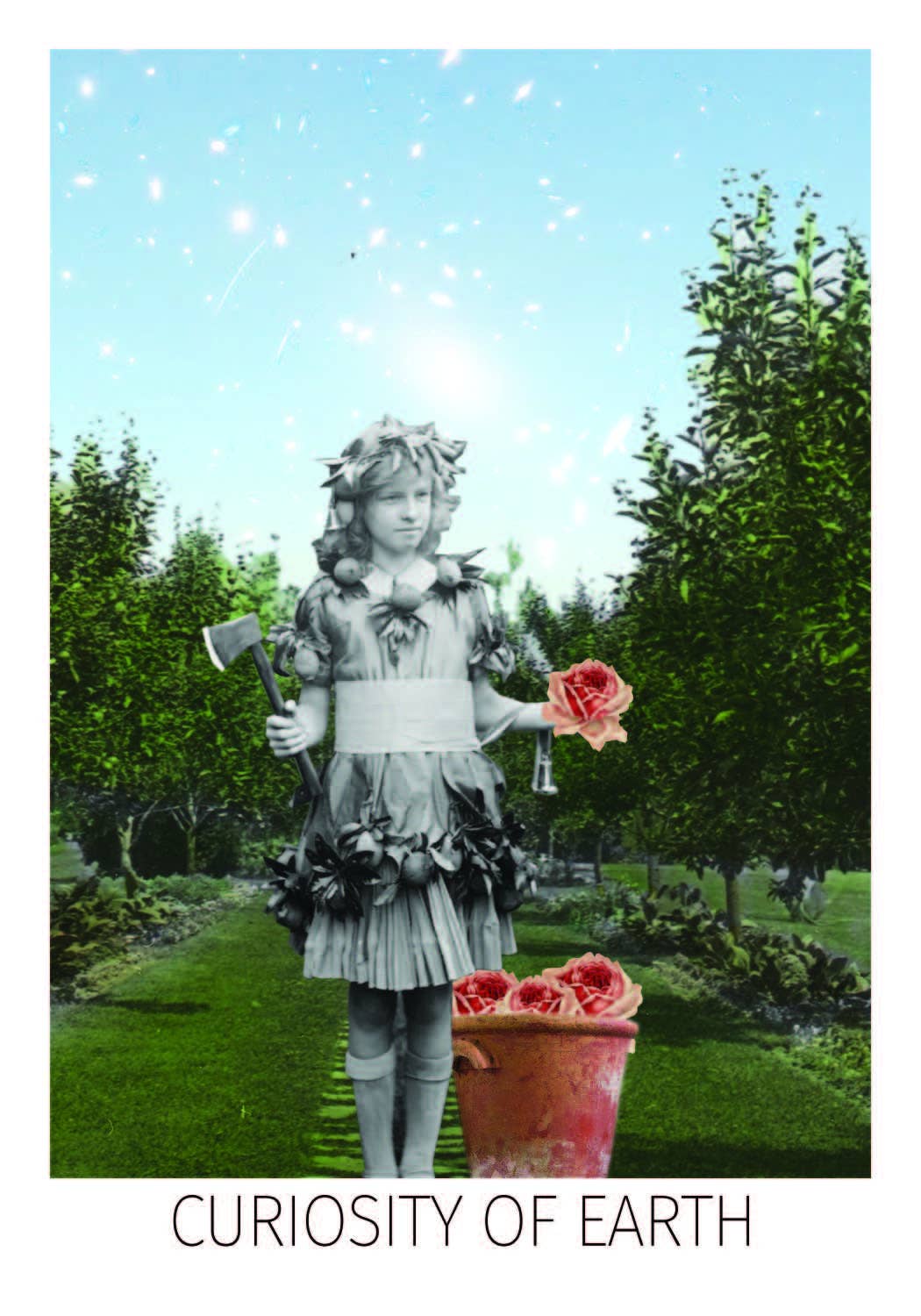 Tarot Deck - The Rosebud Tarot - 78 Cards & 96 Page Full-Color Guidebook