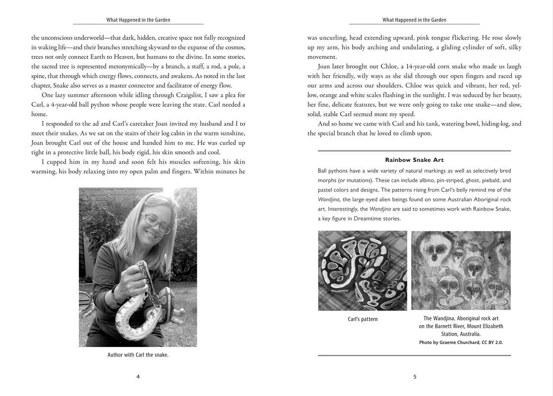 Awakening the Ancient Power of Snake by Dawn Baumann Brunke