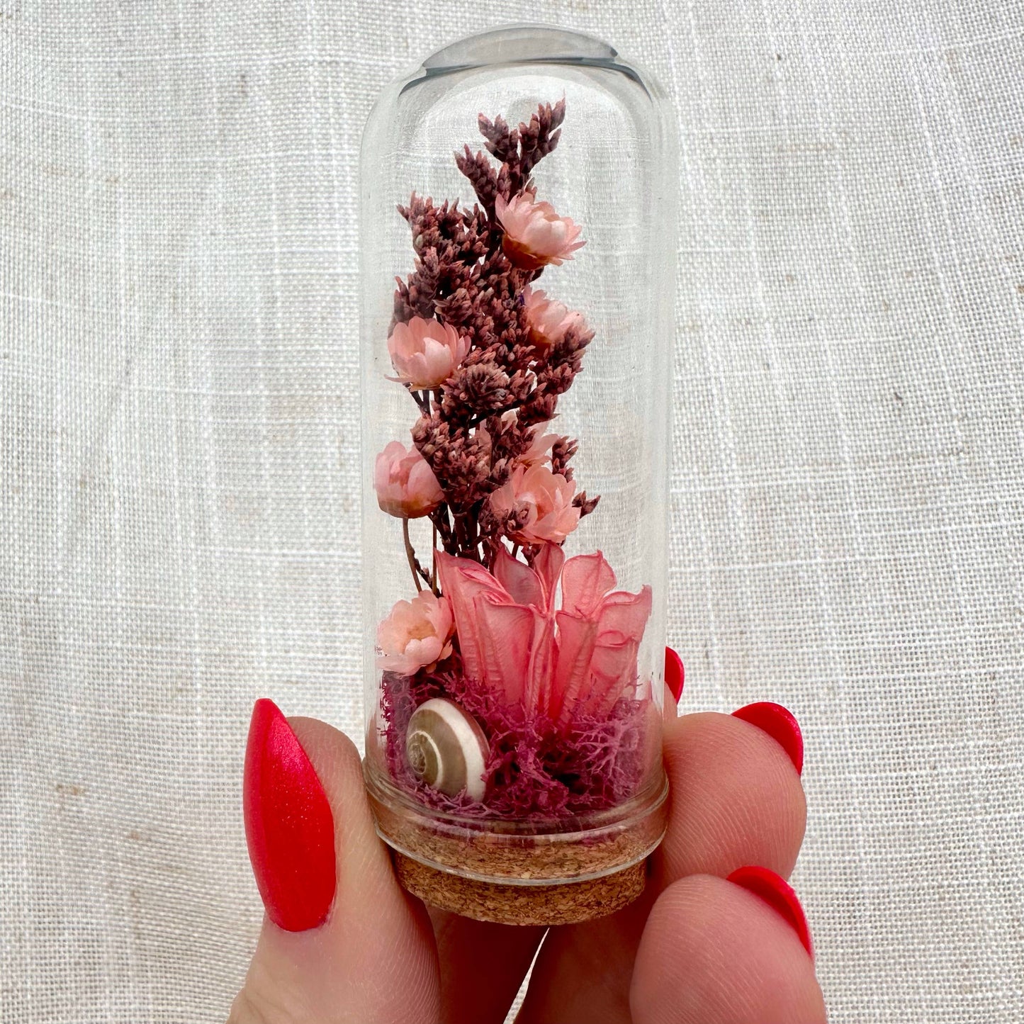Fairy Grove Mini Terrarium Floral Glass Cloche Curiosity Jar: 2.75"