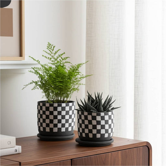 Ceramic Checkerboard Saucer Planter- Large