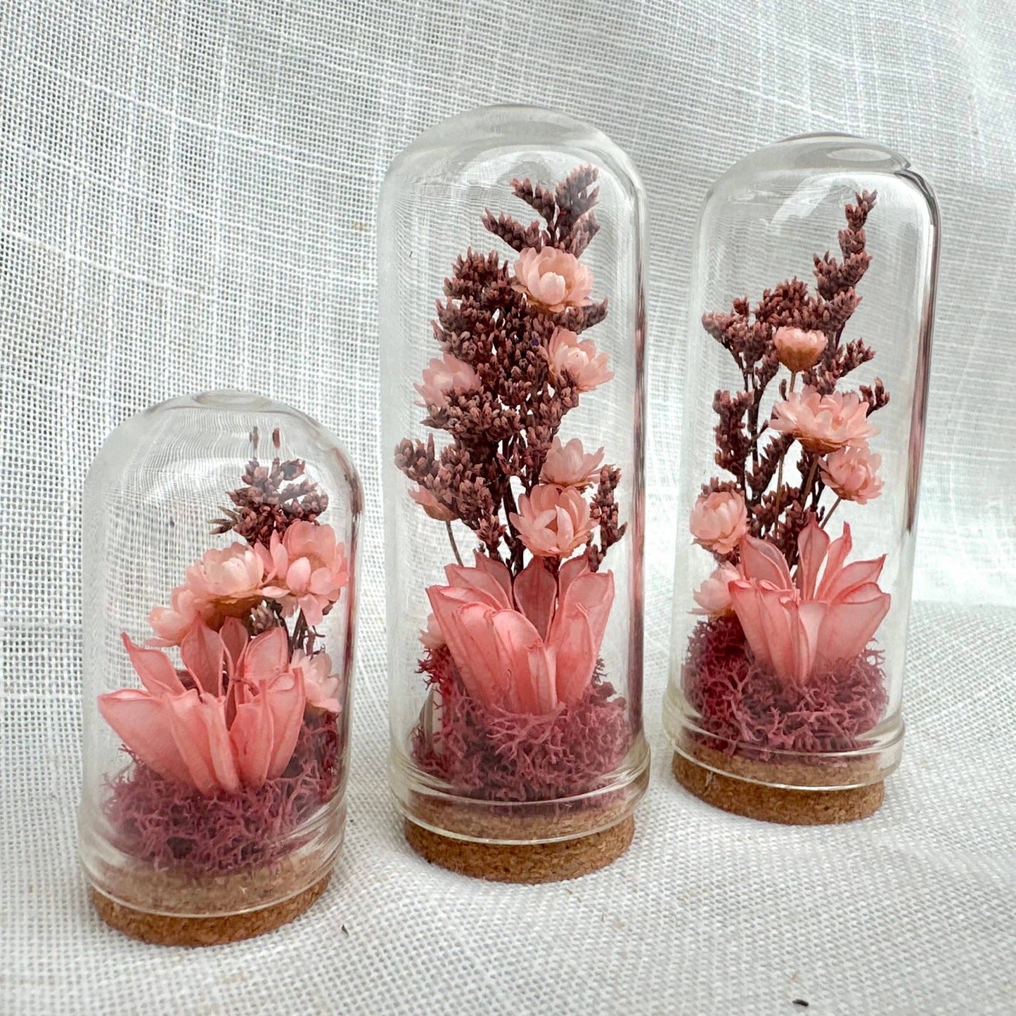 Fairy Grove Mini Terrarium Floral Glass Cloche Curiosity Jar: 2.75"