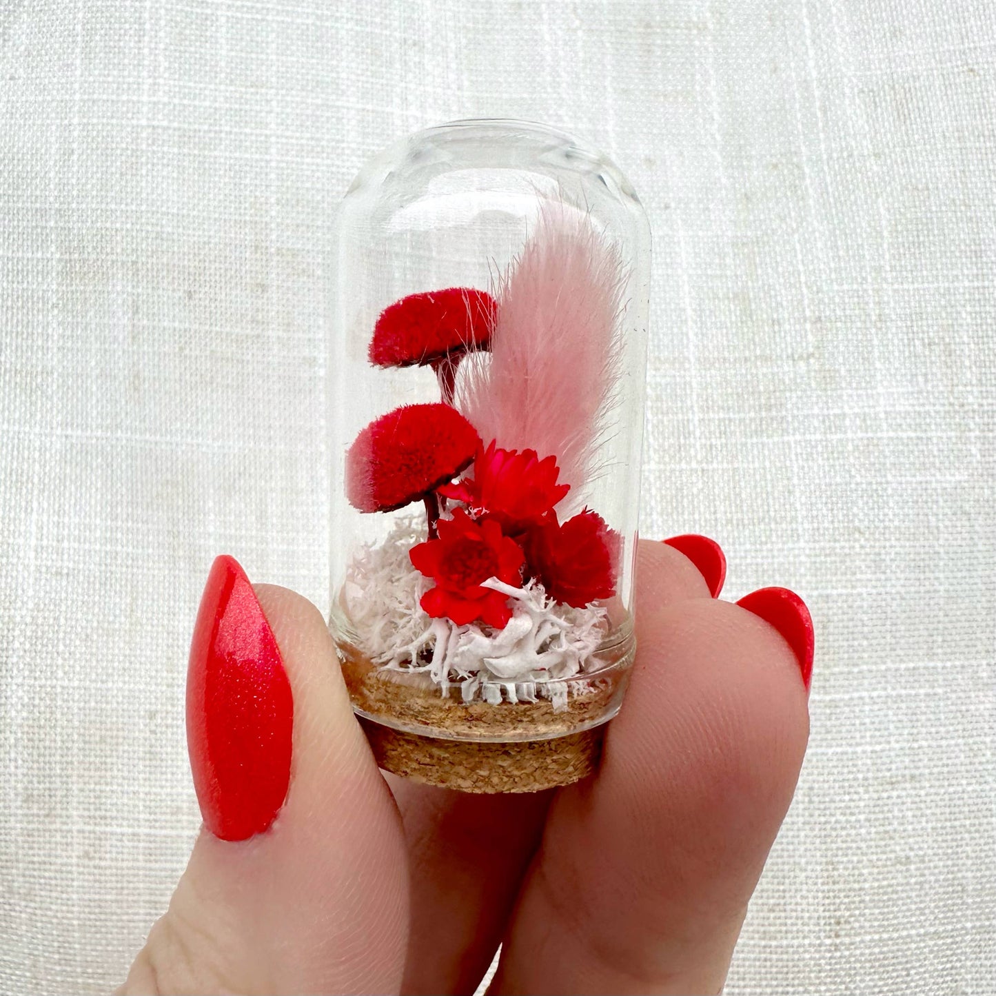 Herb - Valentine Mix Mini Terrarium Floral Cloche Apothecary Jar: 2.75"
