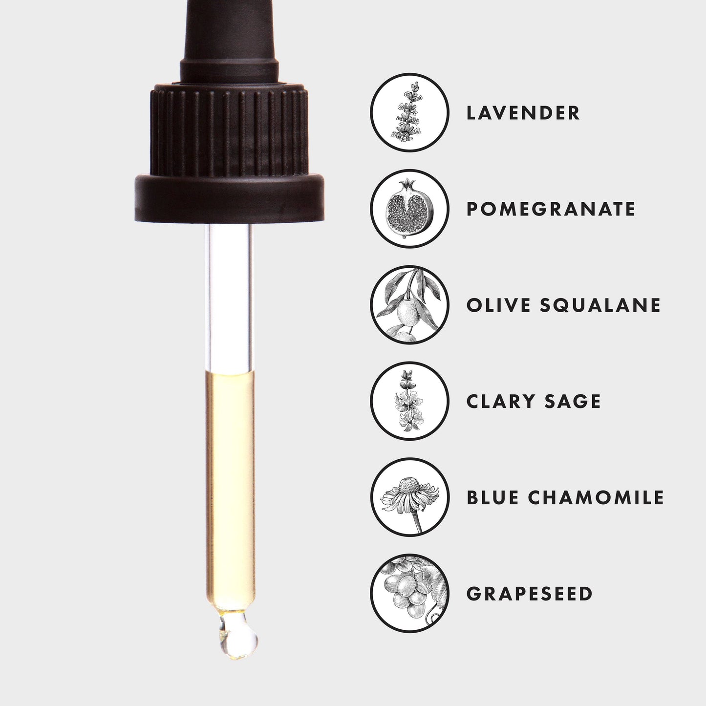 Oil - Botanical Face Serum 30ml