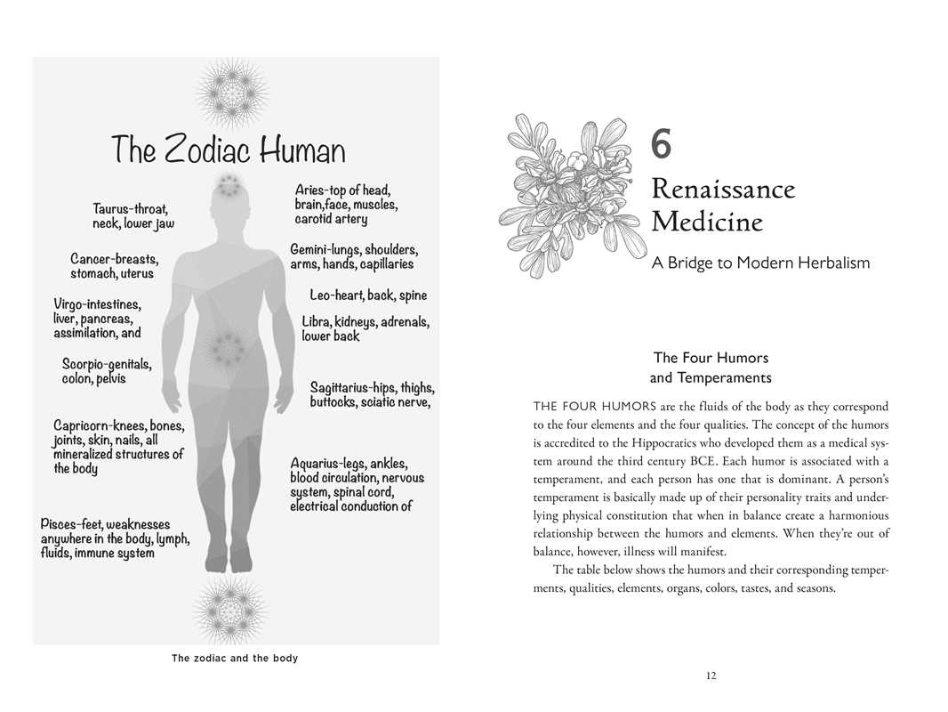 Della Medicina by Lisa Fazio: Paperback; 448 pages / English
