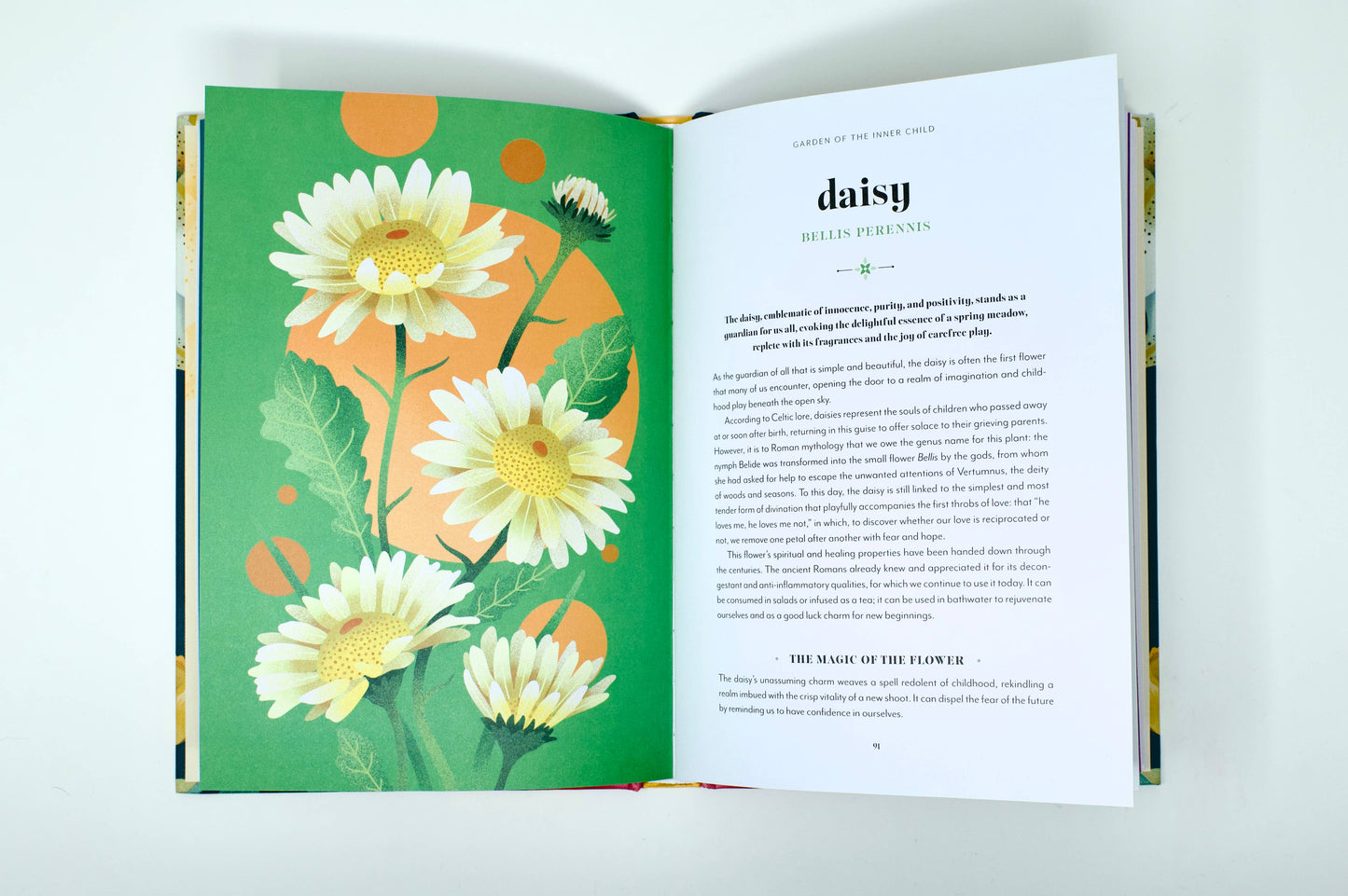 Flower Magic: The Secret Language of Flowers (Hardcover)