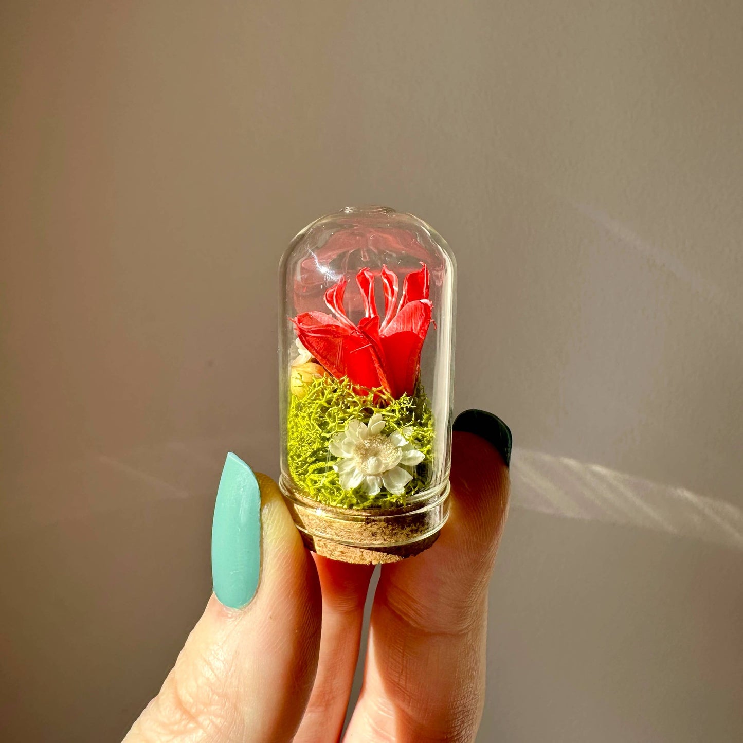 Love Potion Mini Glass Cloche Terrarium Floral Diorama: 2.75"