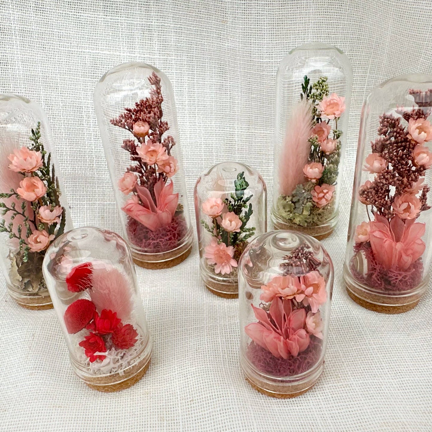 Herb - Valentine Mix Mini Terrarium Floral Cloche Apothecary Jar: 2.75"