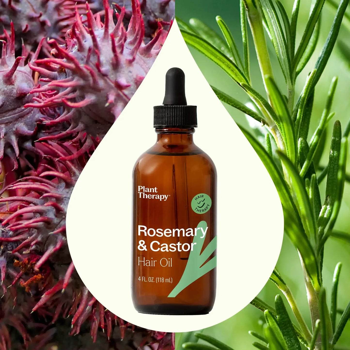 Oil - Rosemary & Castor Hair 4 oz