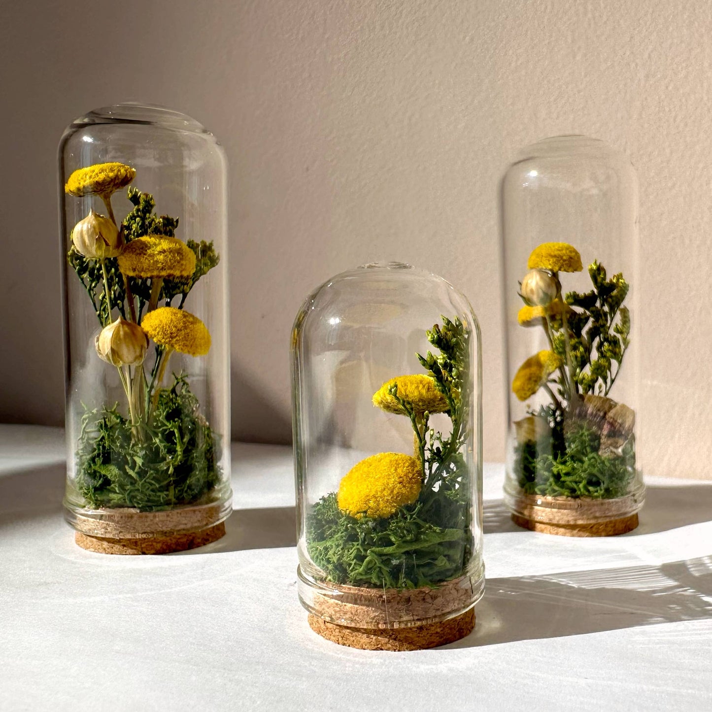 Yellow Mushroom Fields Mini Glass Terrarium w. Dried Florals: 2.75"