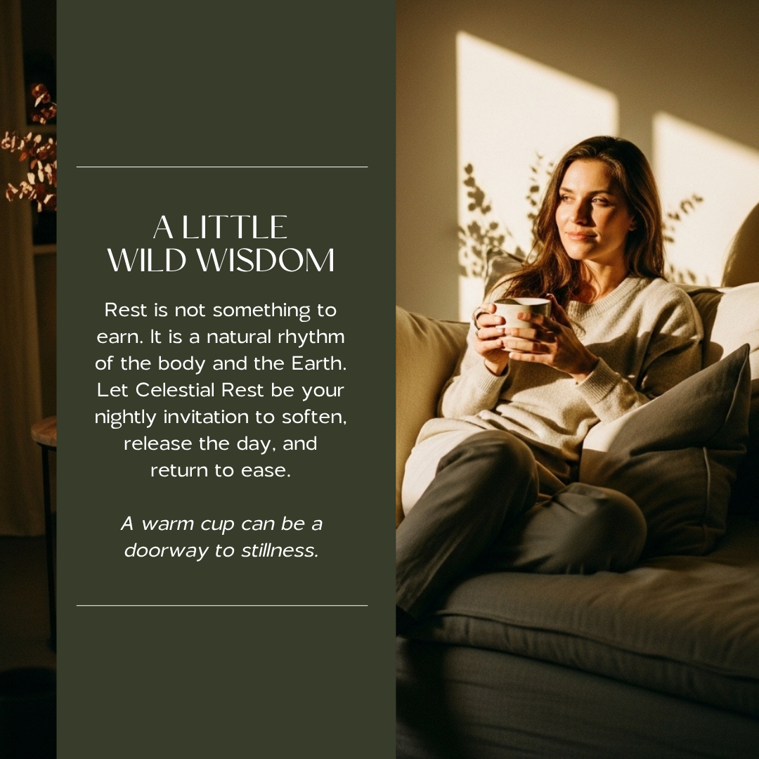 Celestial Rest Herbal Tea | Self Care for Stress & Anxiety