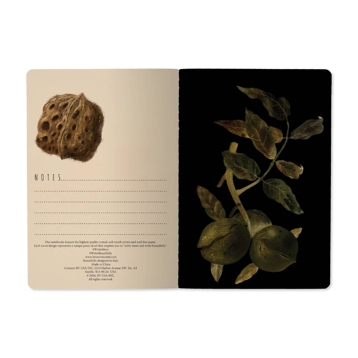 Night Garden - Large Notebook