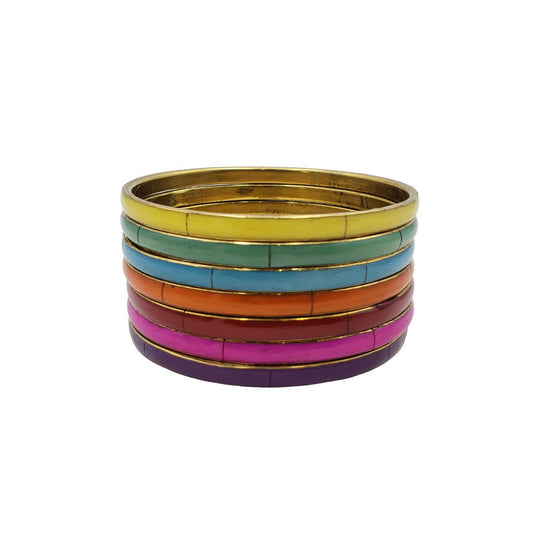 Bangle - Rainbow Bone Set