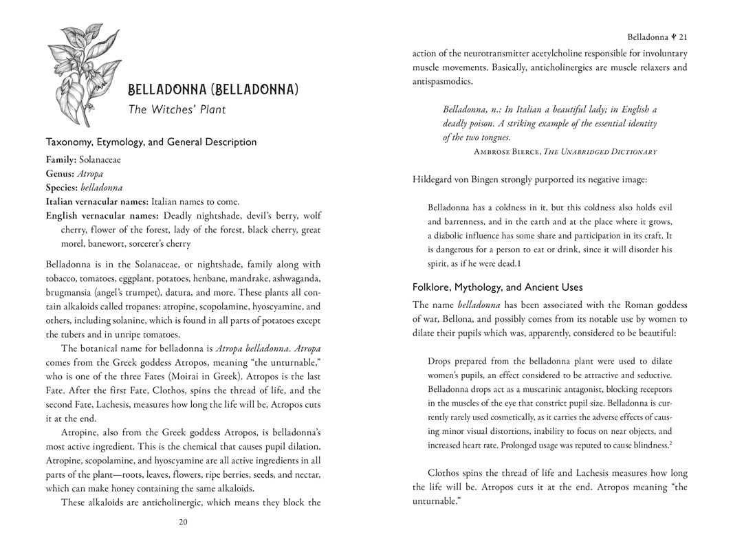 Della Medicina by Lisa Fazio: Paperback; 448 pages / English