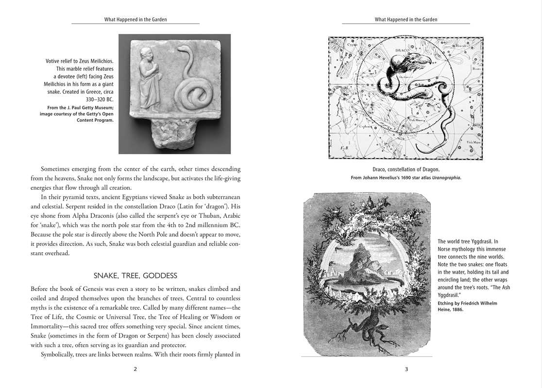 Awakening the Ancient Power of Snake by Dawn Baumann Brunke