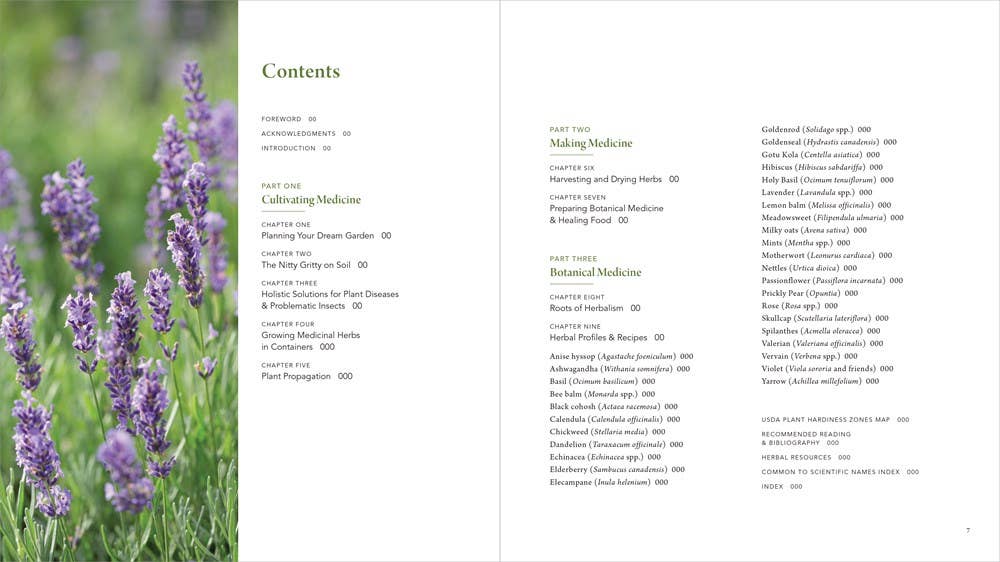 Healing Garden, The: Juliet Blankespoor
