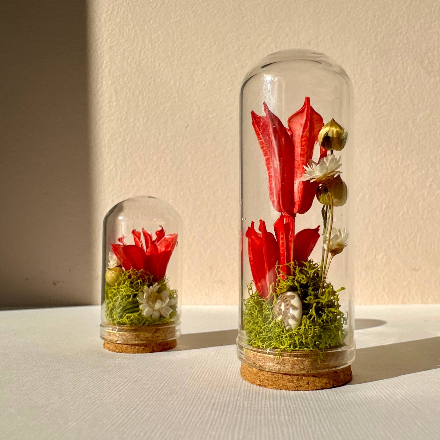 Love Potion Mini Glass Cloche Terrarium Floral Diorama: 2.75"