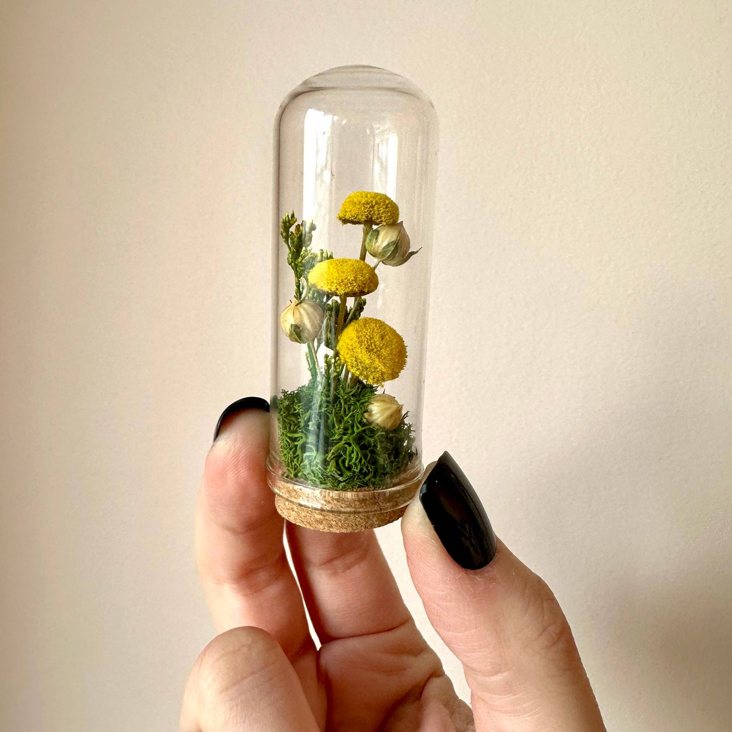 Yellow Mushroom Fields Mini Glass Terrarium w. Dried Florals: 2.75"