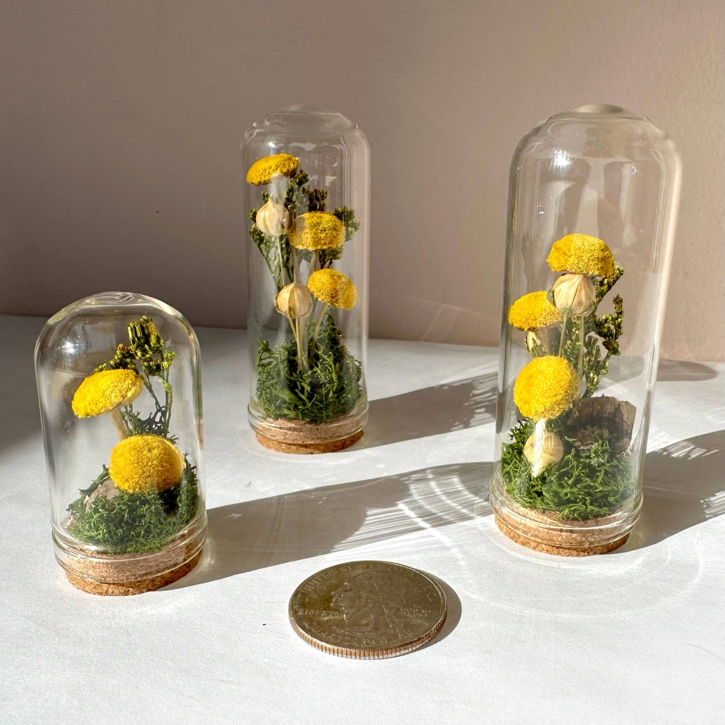 Yellow Mushroom Fields Mini Glass Terrarium w. Dried Florals: 2.75"