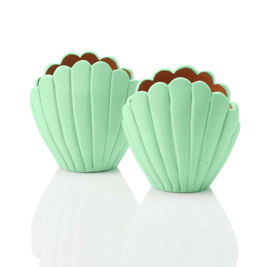 Small Seashell Terracotta Planters
