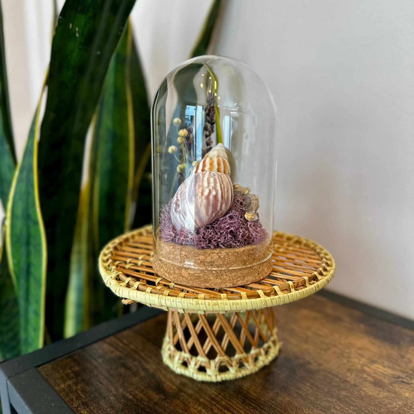Large Purple Beach Glass Terrarium w. Shells & Dried Florals: Tall