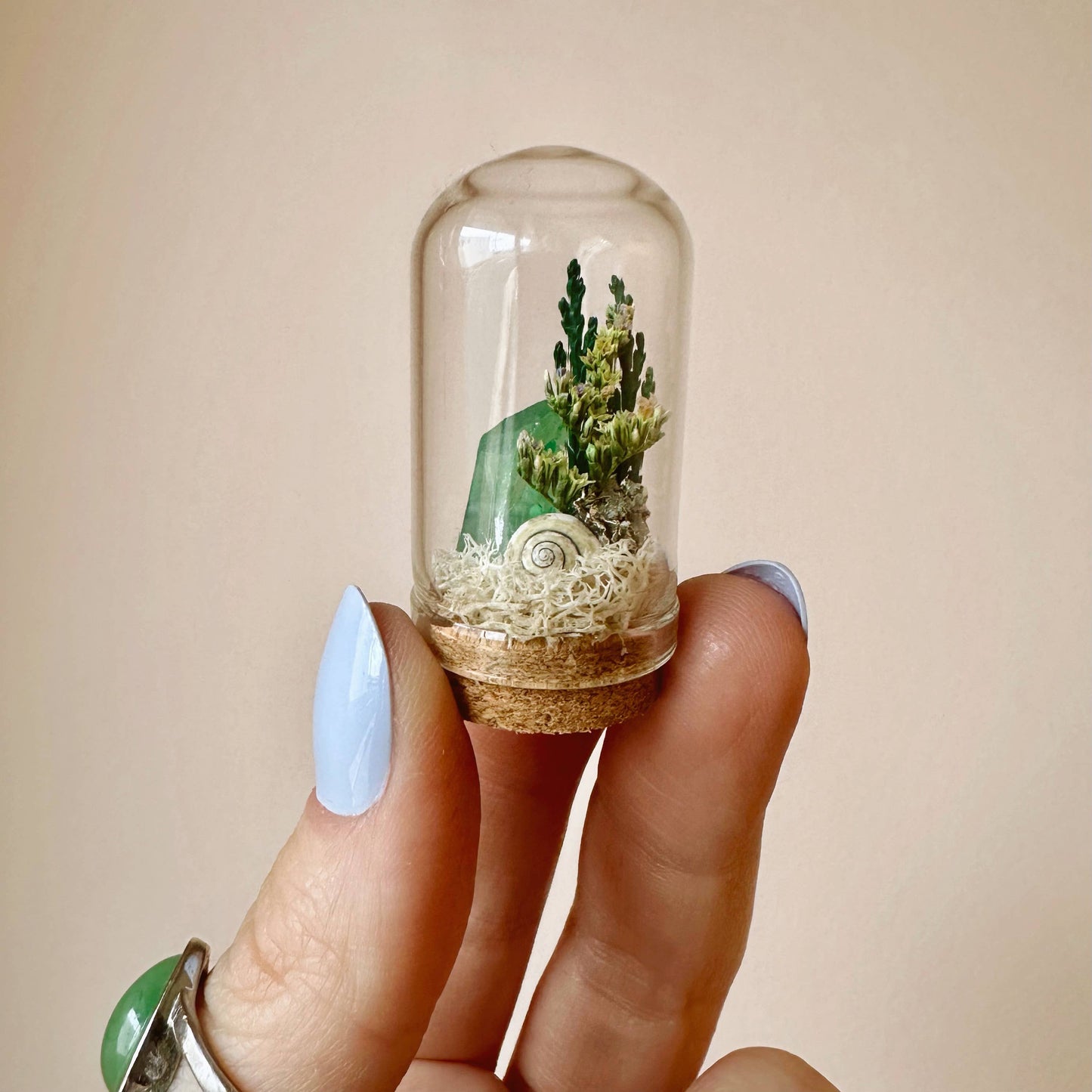 Ocean Flora Mini Terrarium Crystal Beach Desk Decor : 2.75"