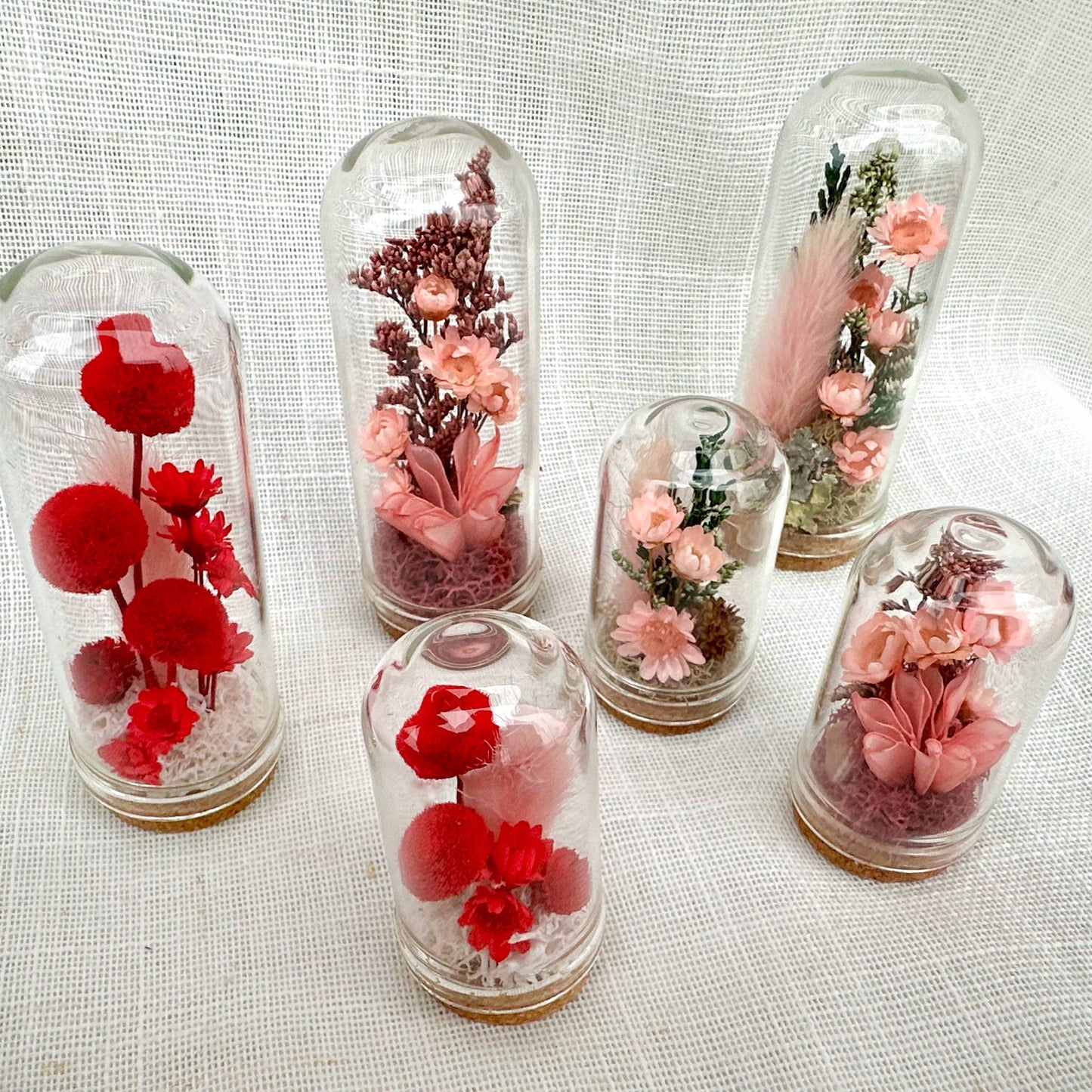Herb - Valentine Mix Mini Terrarium Floral Cloche Apothecary Jar: 1.75"