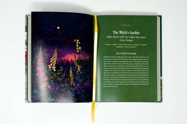 Enchanted Plants: A Treasury of Botanical Folklore and Magic