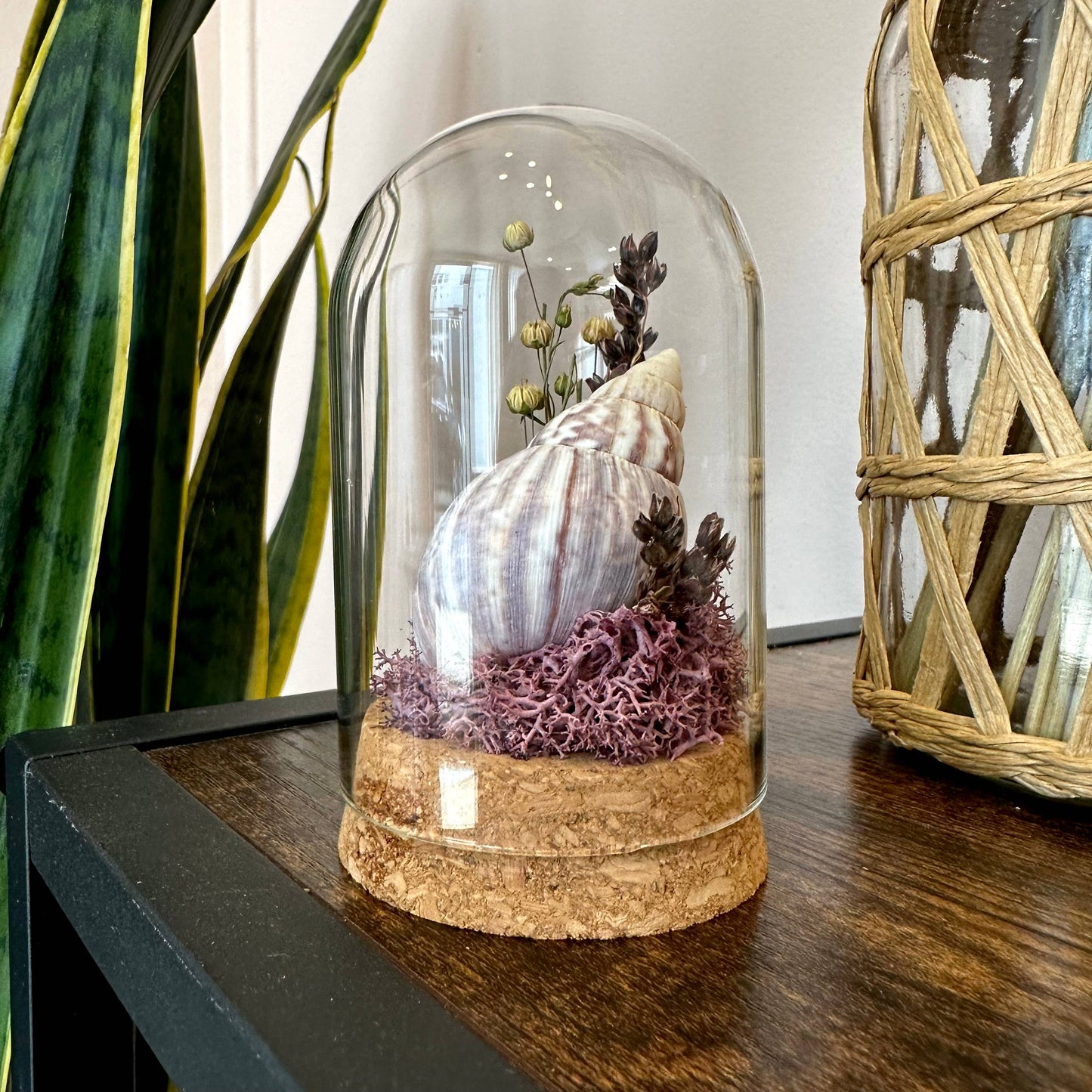 Large Purple Beach Glass Terrarium w. Shells & Dried Florals: Tall