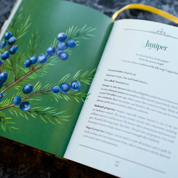 Enchanted Plants: A Treasury of Botanical Folklore and Magic