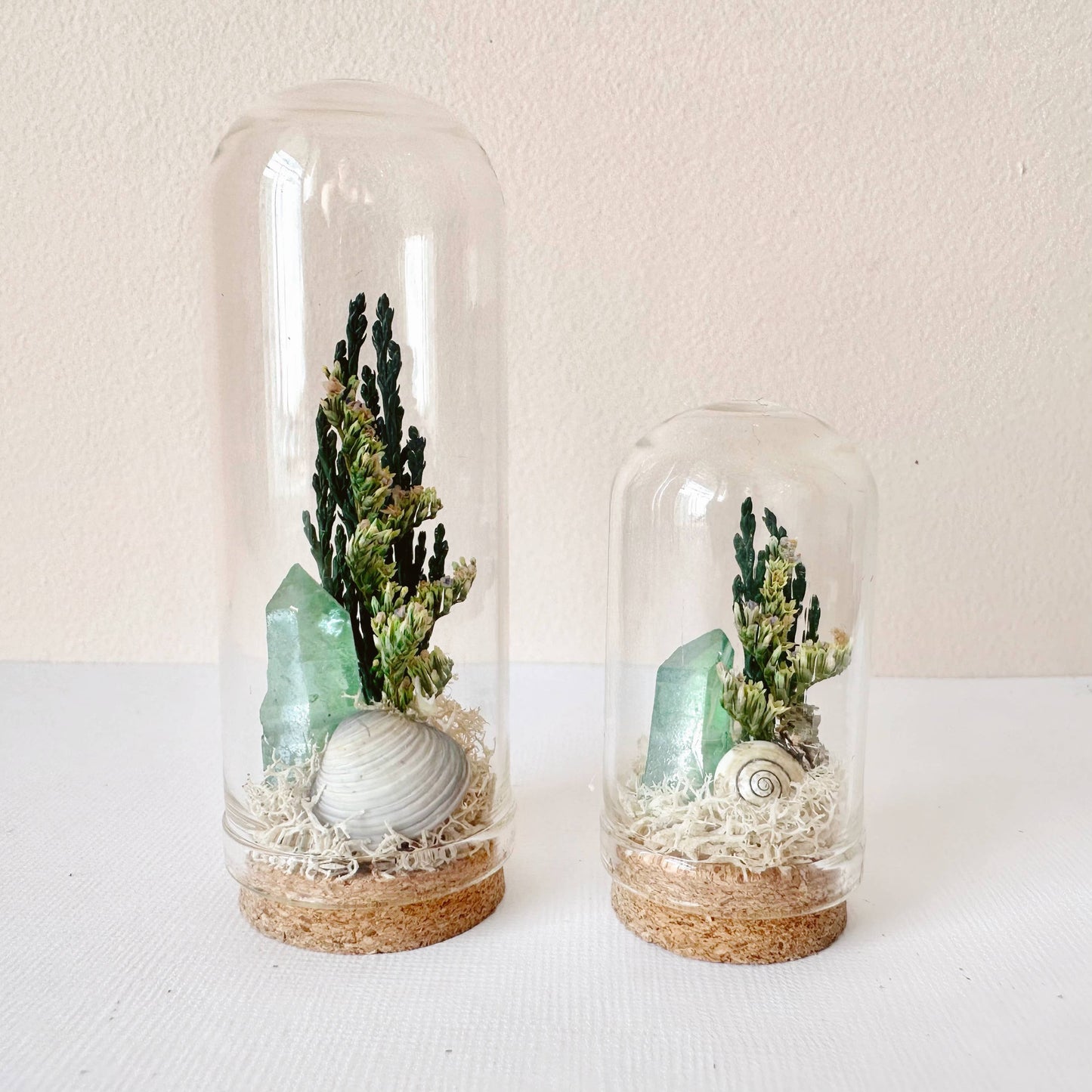 Ocean Flora Mini Terrarium Crystal Beach Desk Decor : 2.75"