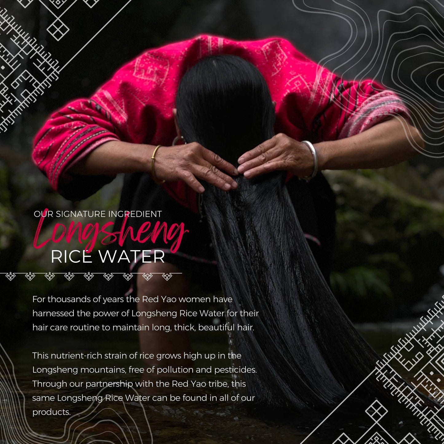 Rice Water Shampoo Bar | Terrace Garden™ | Dry Hair