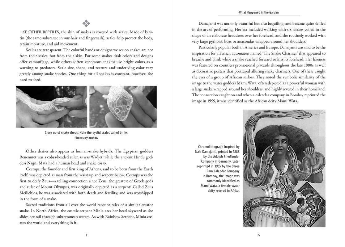 Awakening the Ancient Power of Snake by Dawn Baumann Brunke
