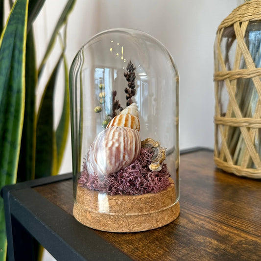 Large Purple Beach Glass Terrarium w. Shells & Dried Florals: Tall