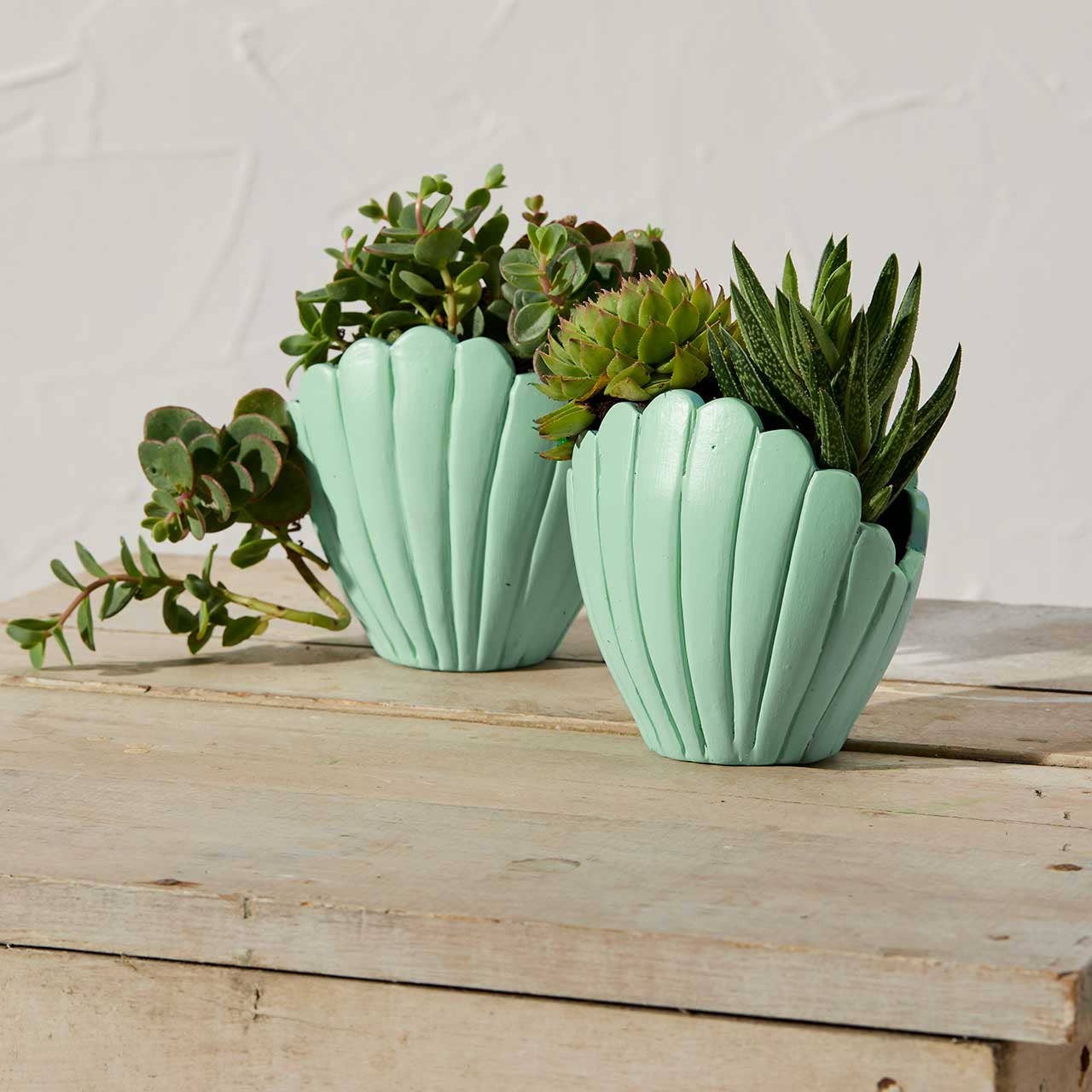 Small Seashell Terracotta Planters