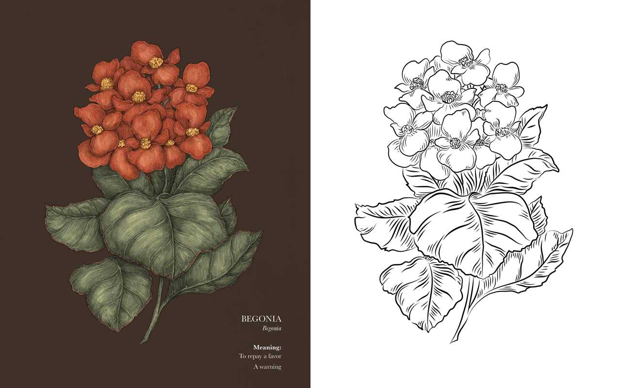 Floriography Coloring Book by Jessica Roux: Paperback; 96 pages / English