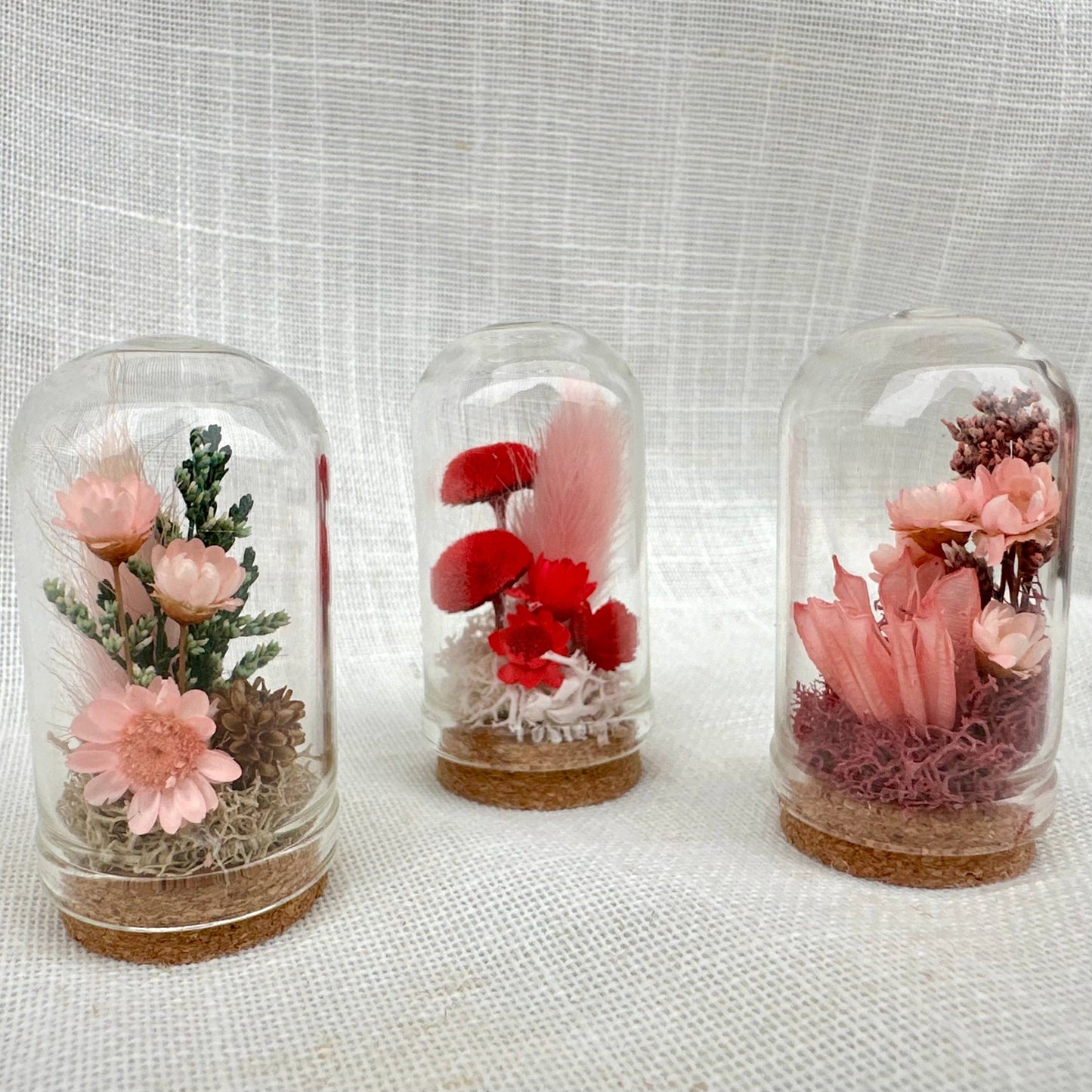 Herb - Valentine Mix Mini Terrarium Floral Cloche Apothecary Jar: 2.75"