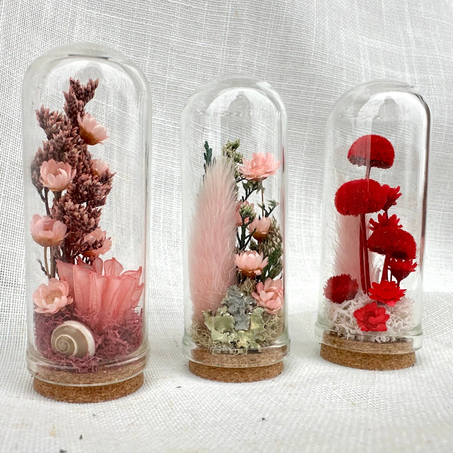 Herb - Valentine Mix Mini Terrarium Floral Cloche Apothecary Jar: 1.75"