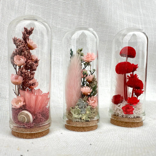 Herb - Valentine Mix Mini Terrarium Floral Cloche Apothecary Jar: 2.75"