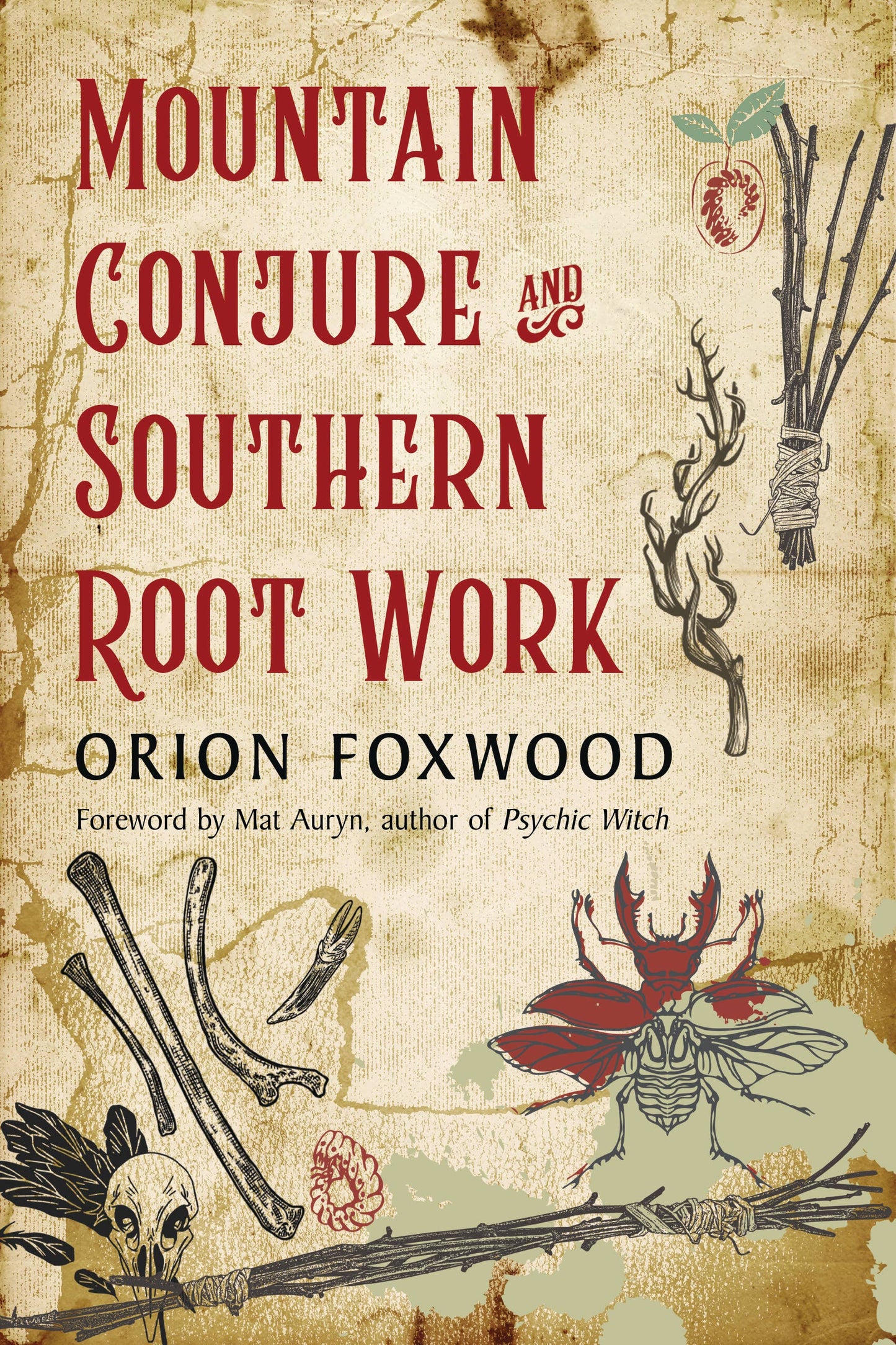 Mountain Conjure And Southern Root Work