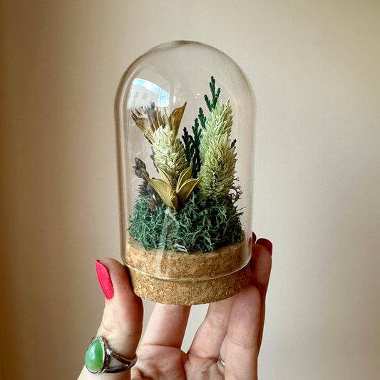 Large Botanical Glass Terrarium Jar w. Green Dried Florals: Short