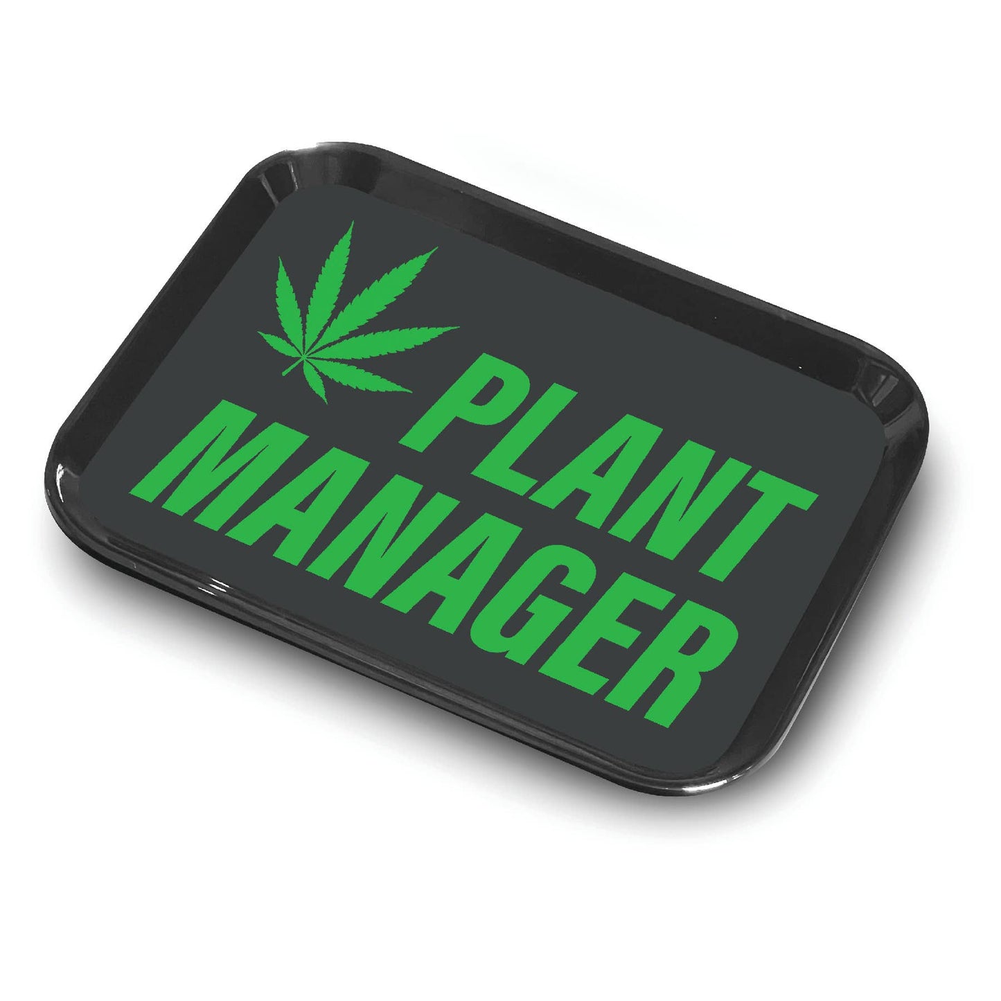 Small trinket Tray • PLANT MANAGER