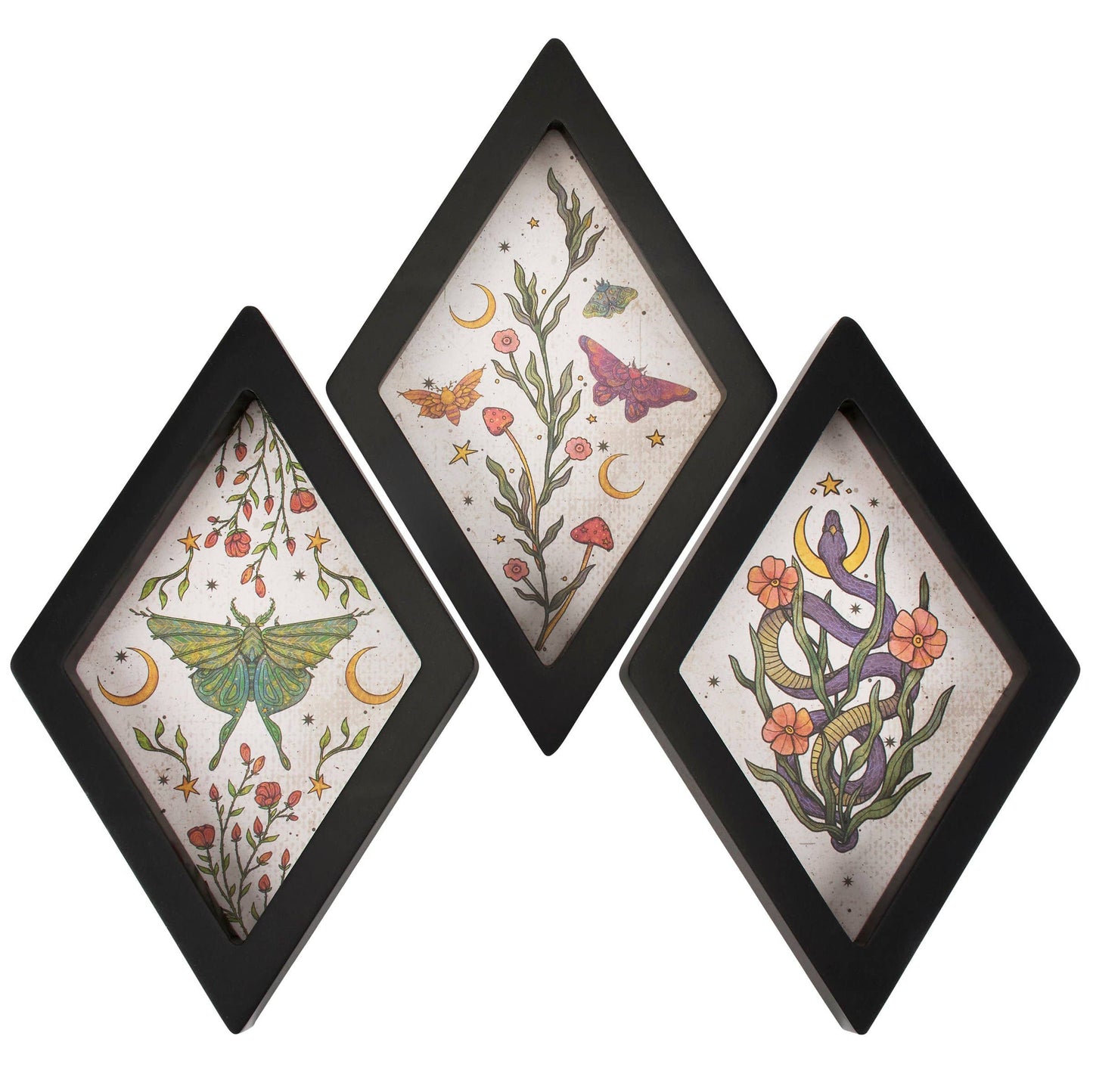 Witchy Decor Set of 3