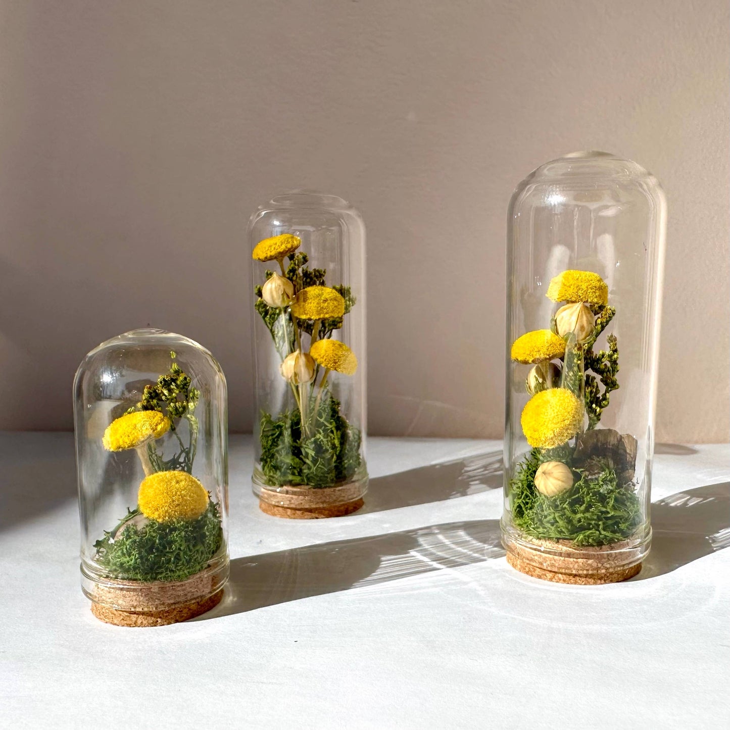 Yellow Mushroom Fields Mini Glass Terrarium w. Dried Florals: 2.75"