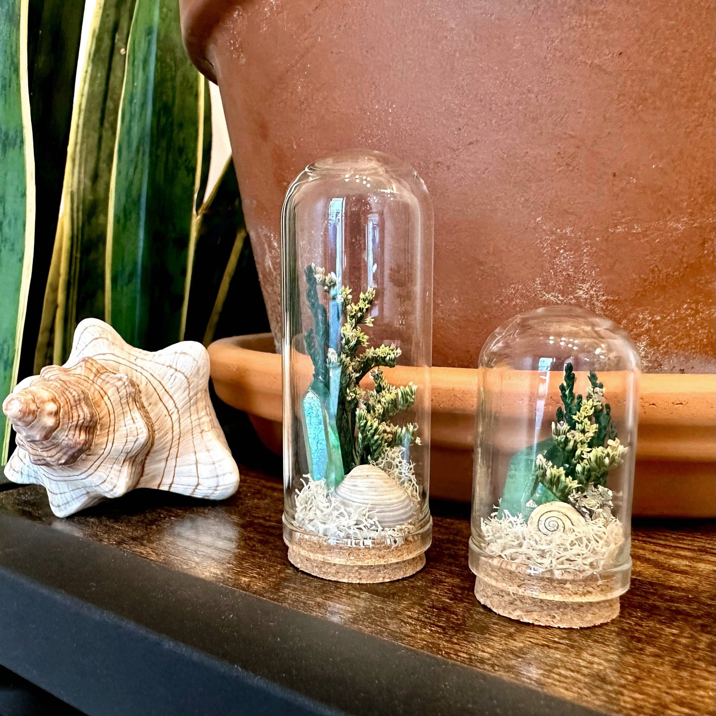 Ocean Flora Mini Terrarium Crystal Beach Desk Decor : 2.75"